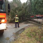 Eine Tanne versperrt Fahrzeugen den Weg auf der L94